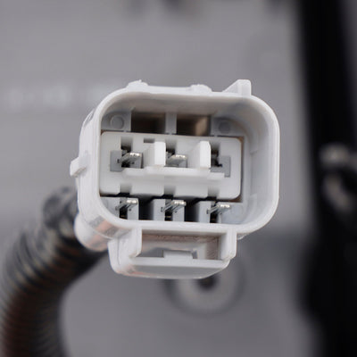 https://cdn.shopify.com/s/files/1/0712/0348/8028/files/eacfe67e761fa7bb06c43f332afdb37b.jpg?v=1741244916