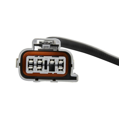 https://cdn.shopify.com/s/files/1/0712/0348/8028/files/f1501307cc445aaa9a113c9299b02c2b.jpg?v=1769584328
