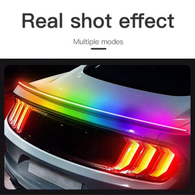https://cdn.shopify.com/s/files/1/0712/0348/8028/files/f6de7d7749ac04348d7c7fa22cbe896b.jpg?v=1756371130