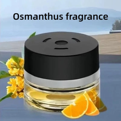 Recharge Parfum Diffuseur Habitacle Mercedes-Benz - installé sur véhicule 2 - Becquet Voiture